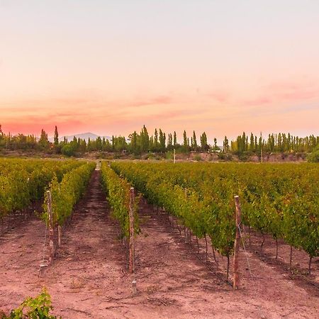 Marale Wines Hotel Boutique Villa Media Agua Luaran gambar
